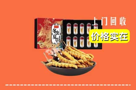 白银市回收冬虫夏草
