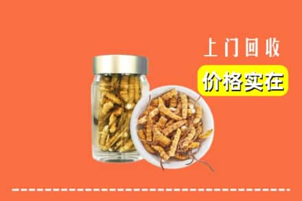 收购资讯:白银市回收散虫草
