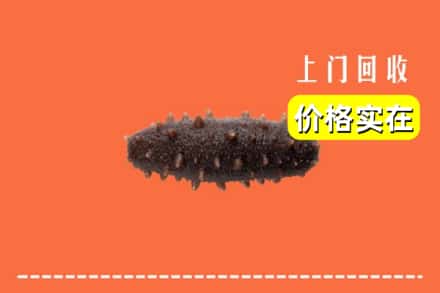 收购资讯:白银市回收海参