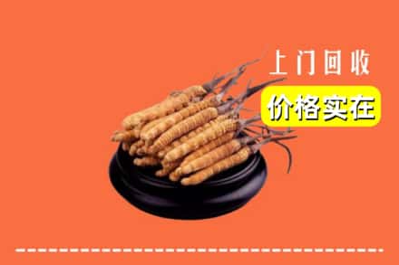 白银市回收冬虫夏草
